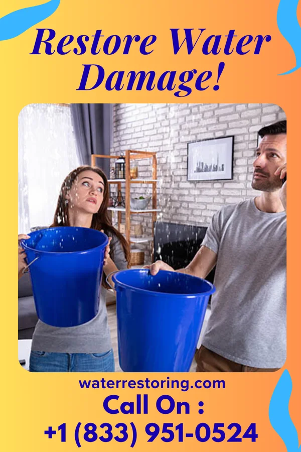 water restoration Stellar Emergency Restoration Pros Cumings